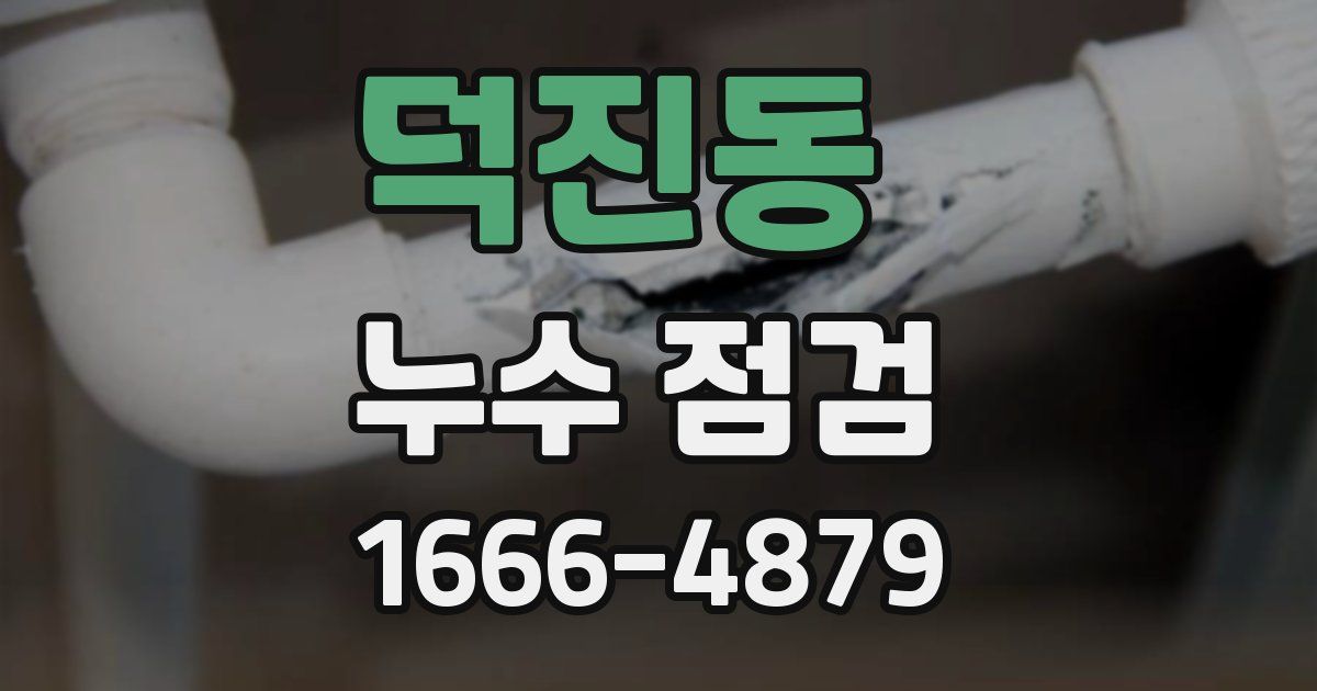 덕진동 누수 점검