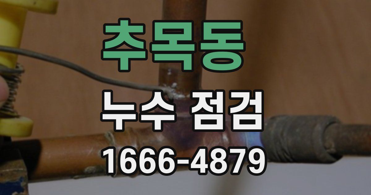 추목동 누수 점검