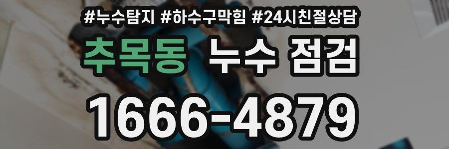 추목동 누수 점검