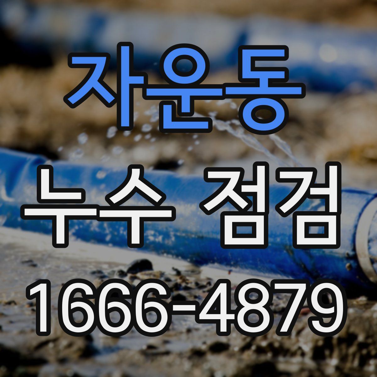 자운동 누수 점검