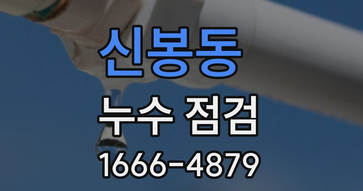 신봉동 누수 점검