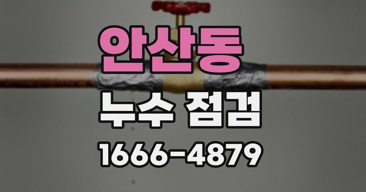 안산동 누수 점검
