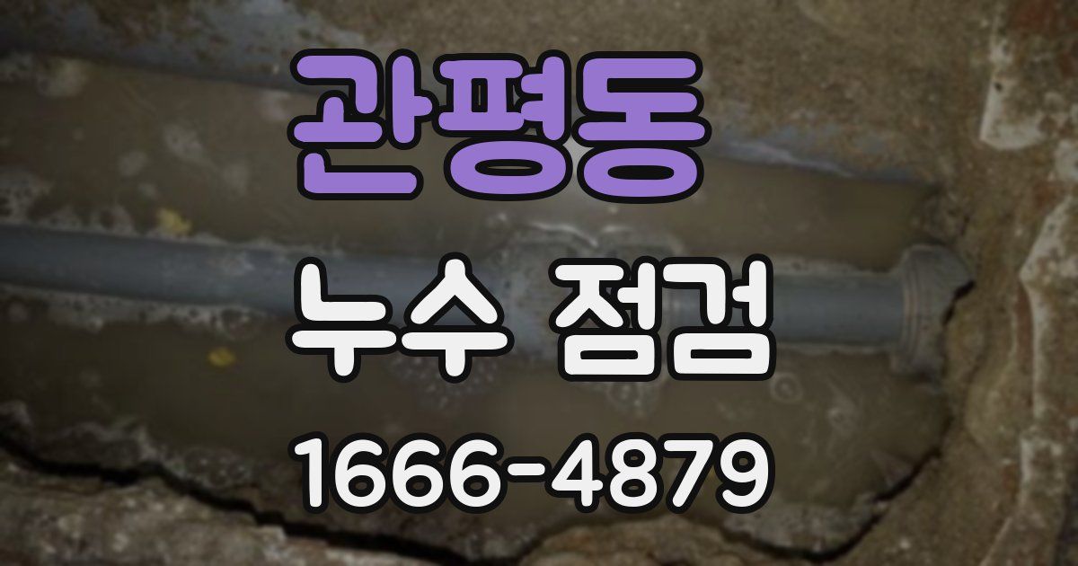 관평동 누수 점검