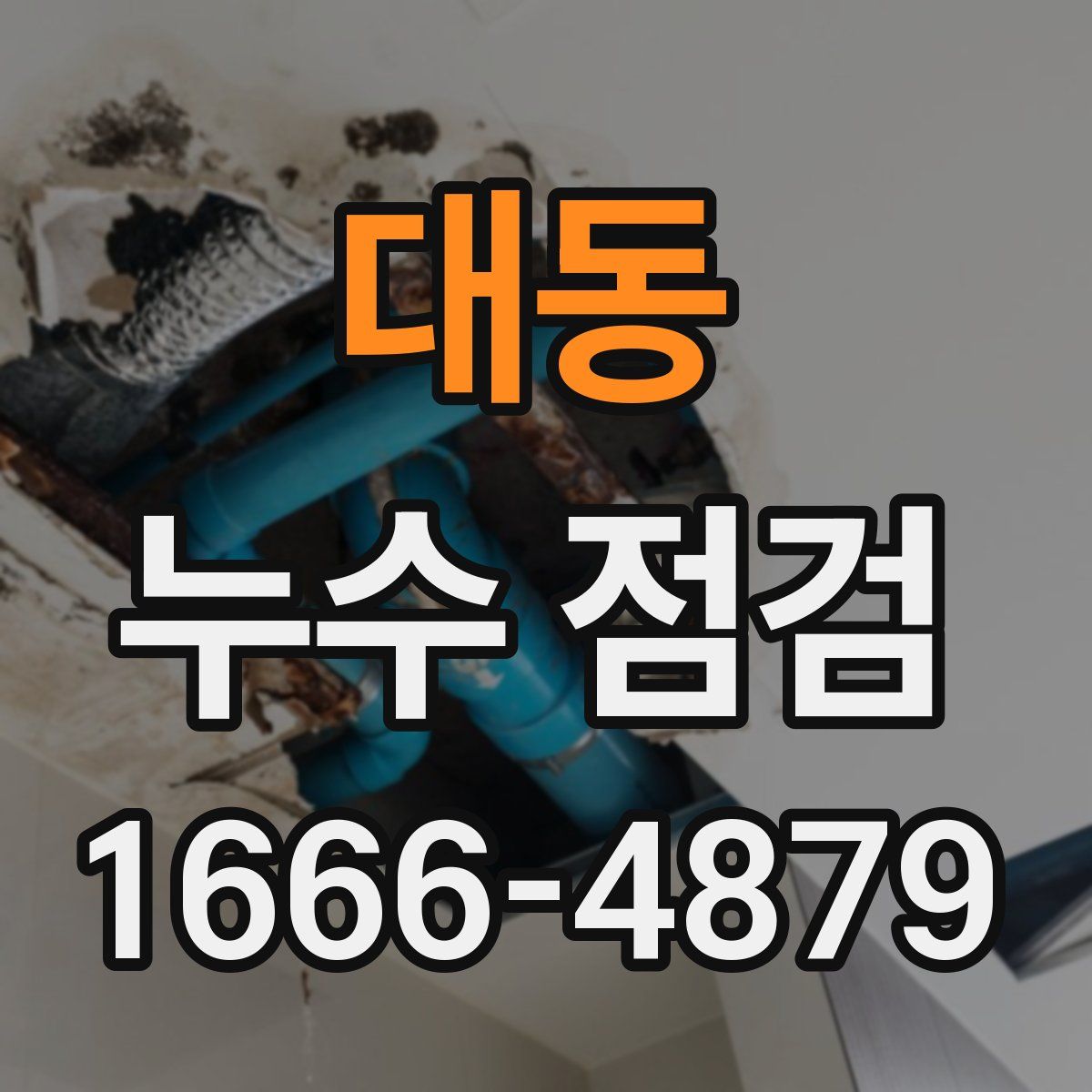 대동 누수 점검