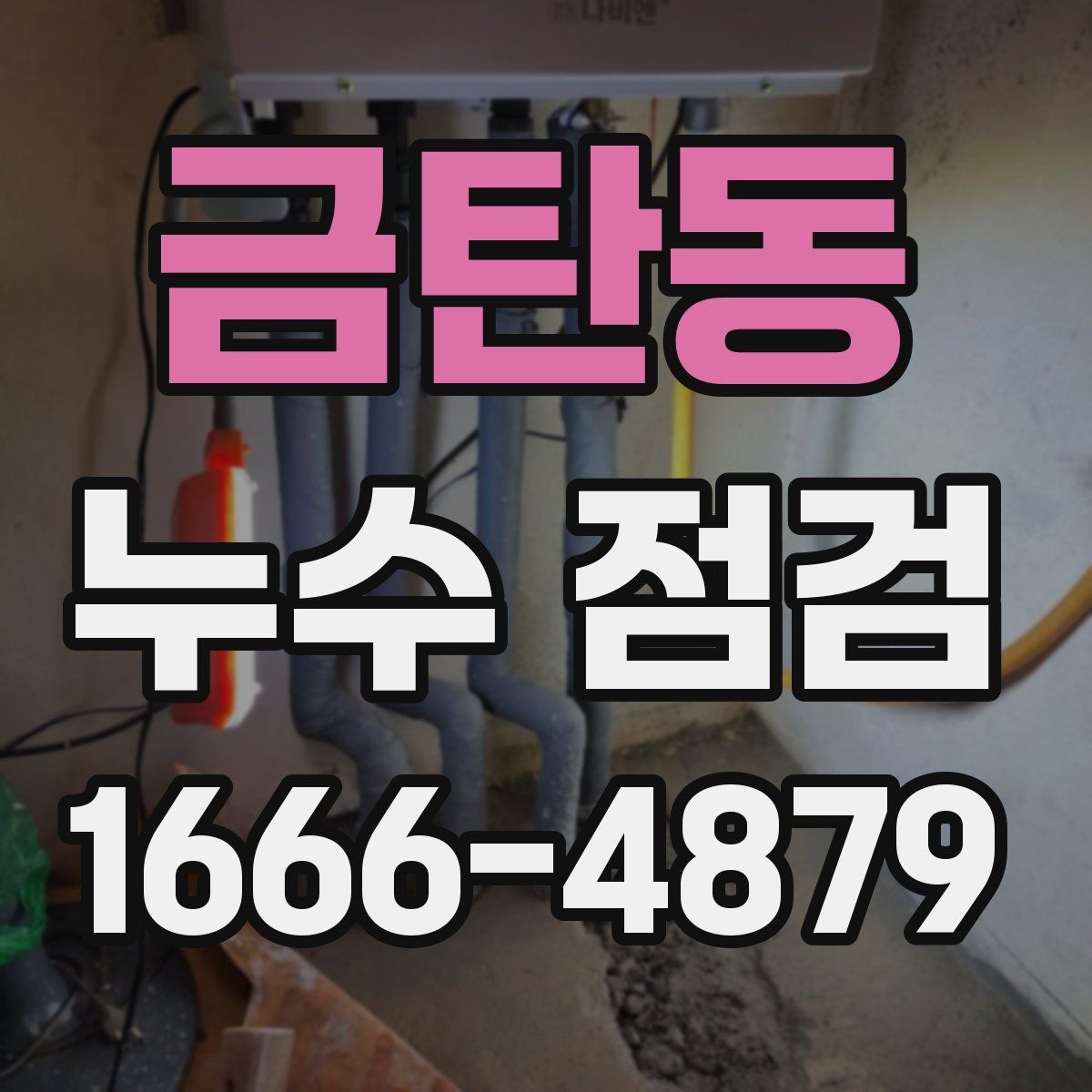 금탄동 누수 점검