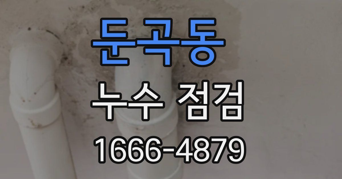 둔곡동 누수 점검