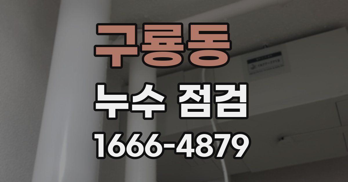 구룡동 누수 점검