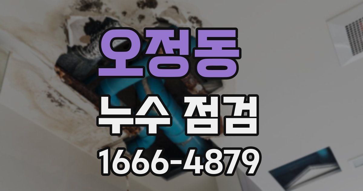 오정동 누수 점검