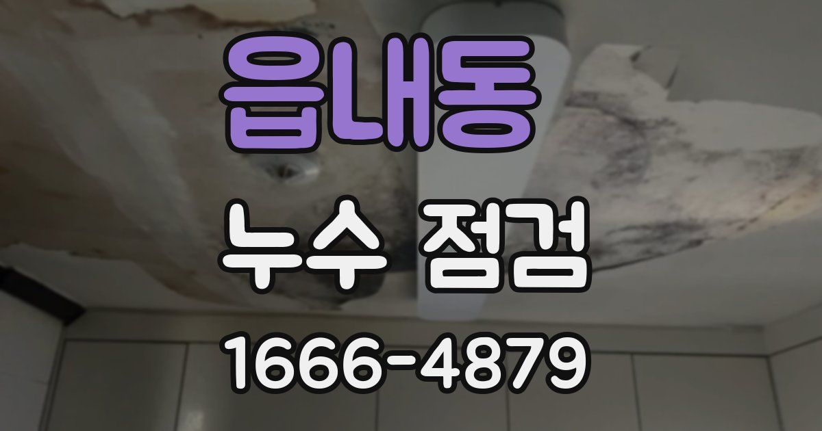 읍내동 누수 점검