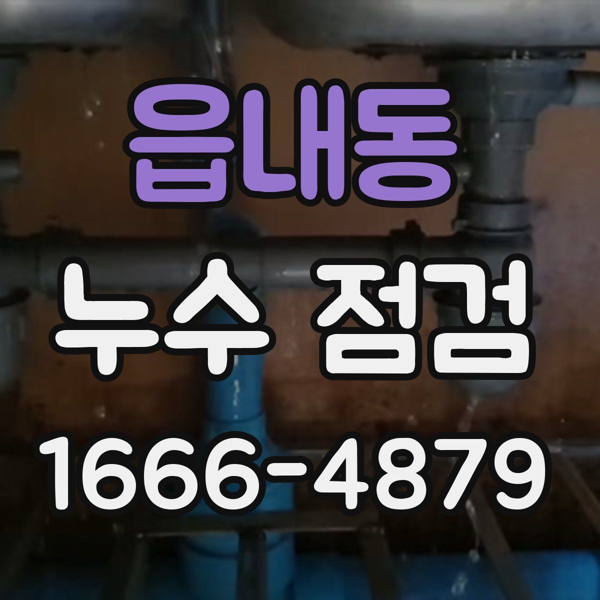 읍내동 누수 점검