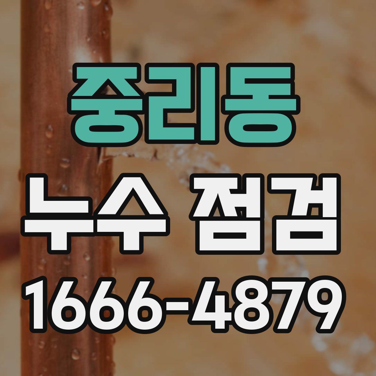 중리동 누수 점검