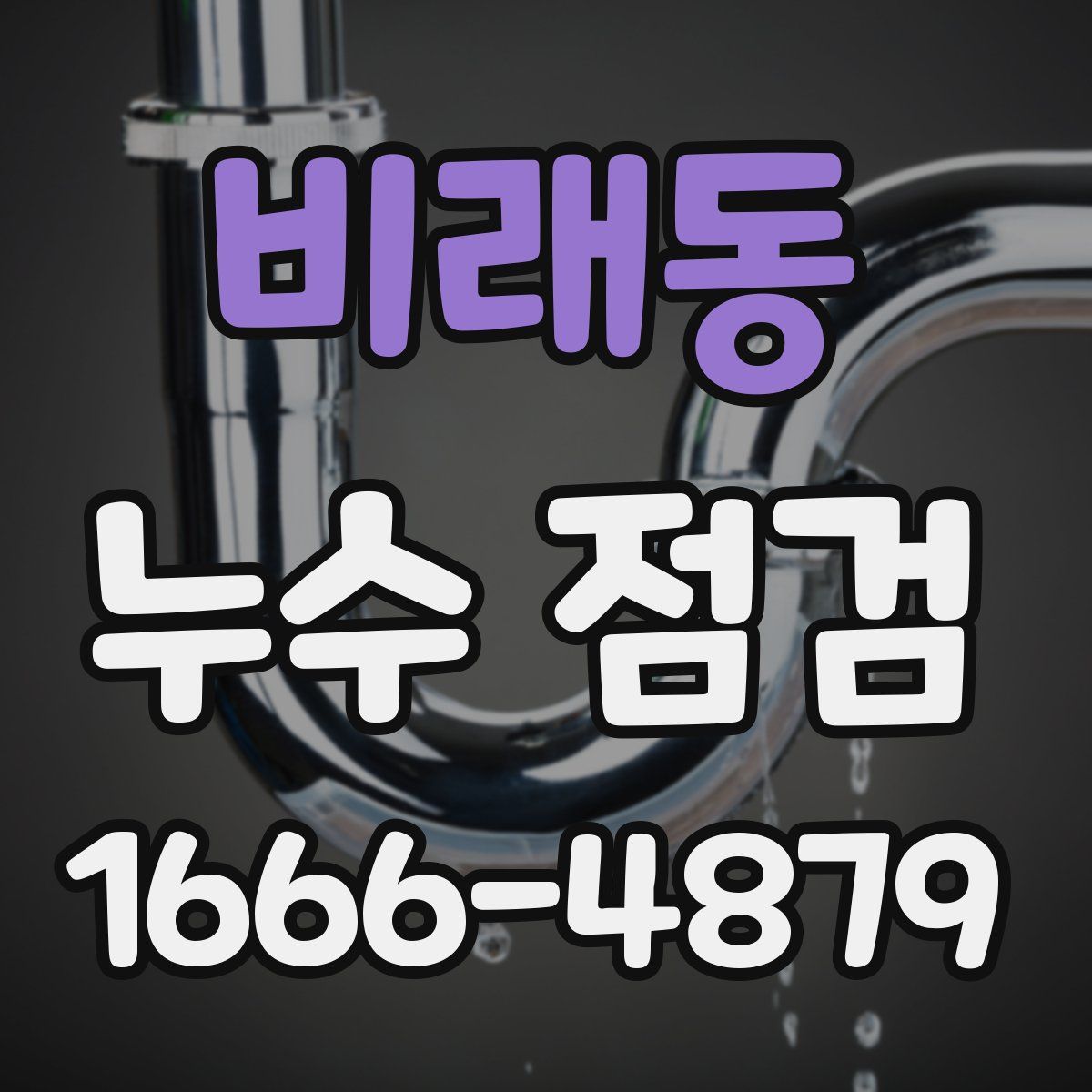 비래동 누수 점검