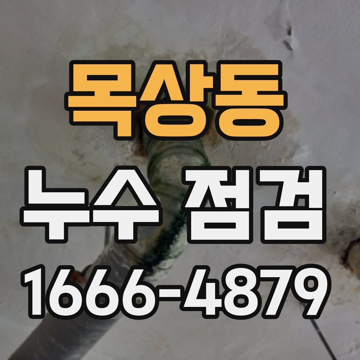 목상동 누수 점검