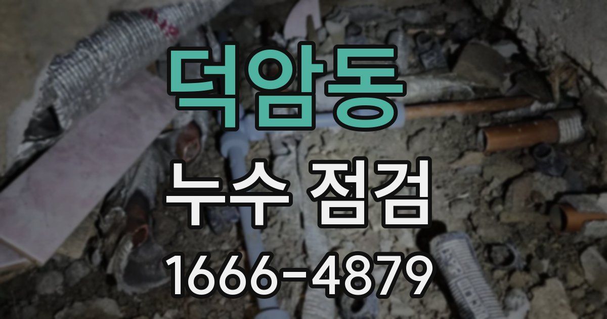 덕암동 누수 점검