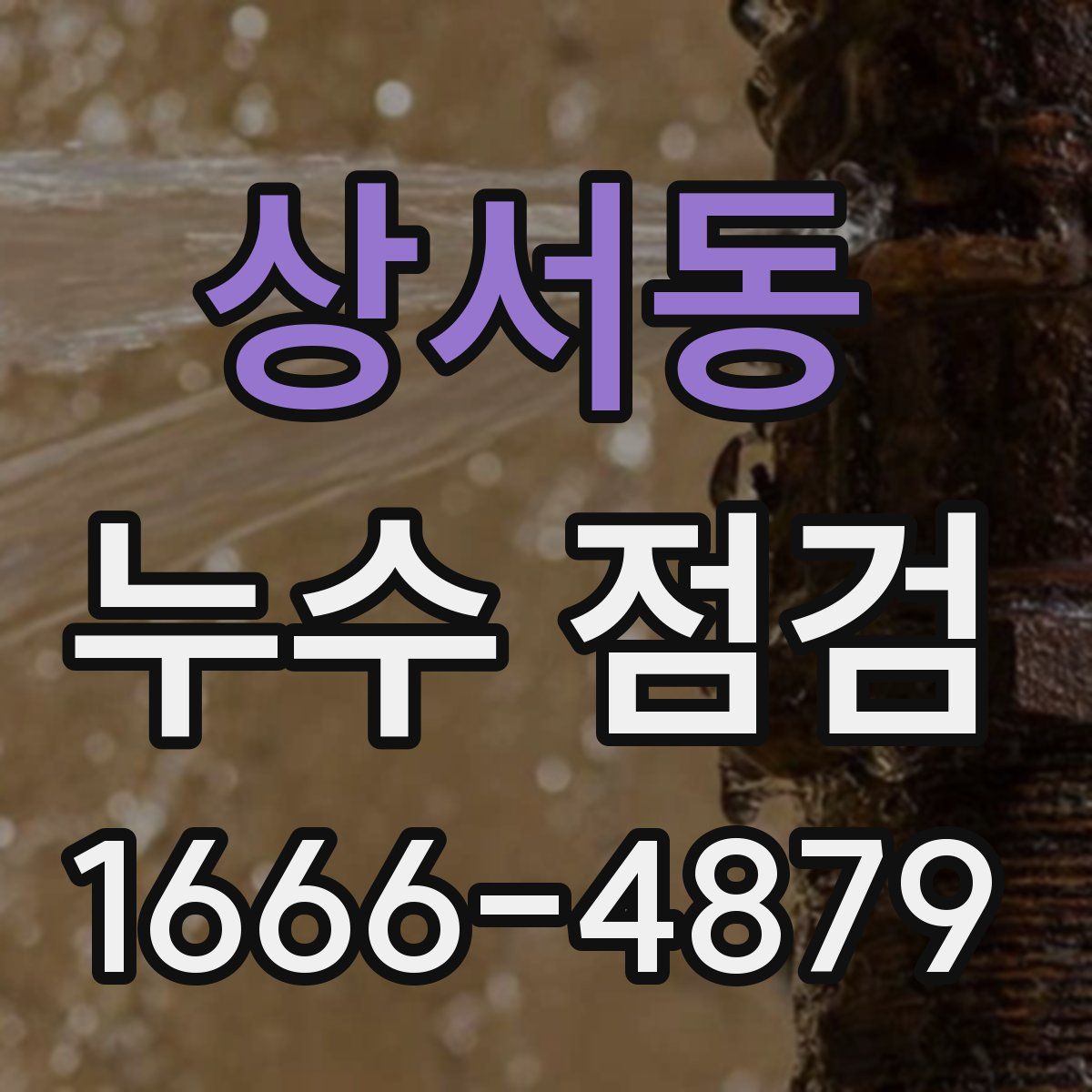 상서동 누수 점검