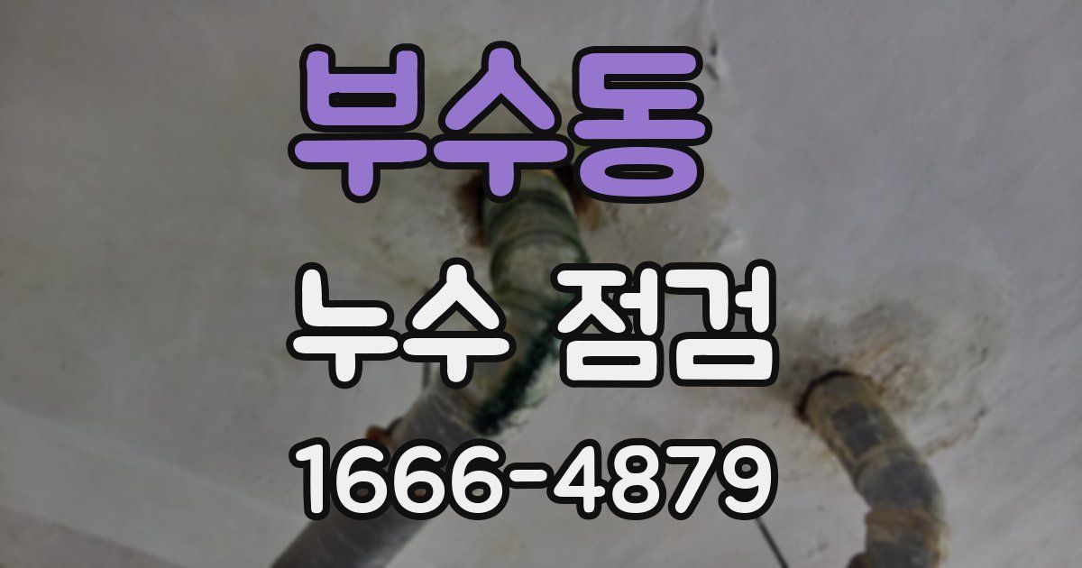 부수동 누수 점검