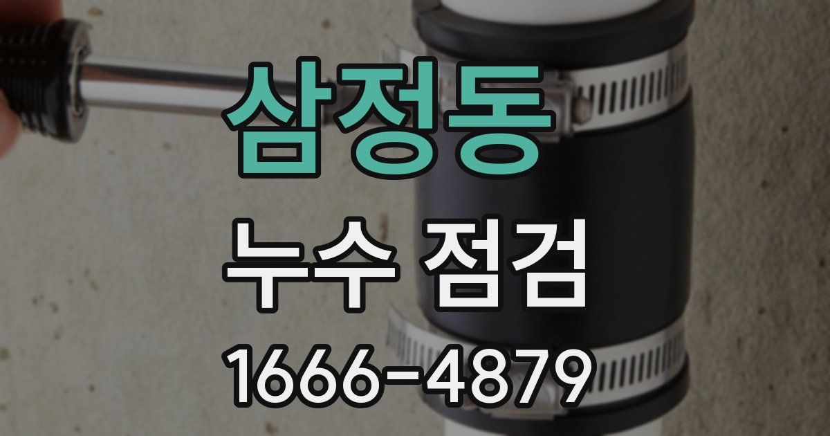 삼정동 누수 점검