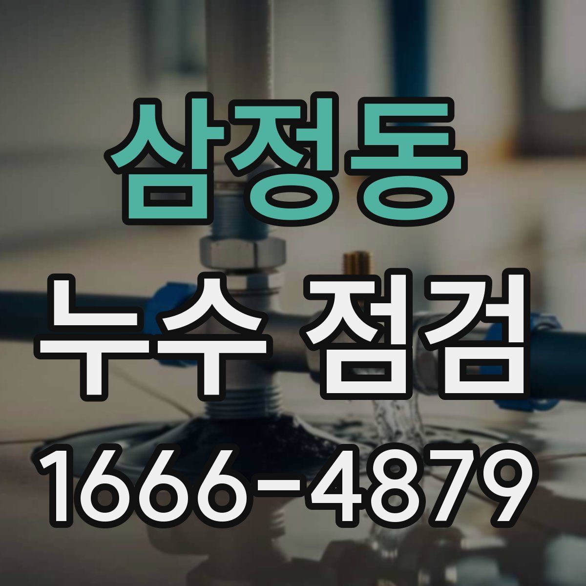 삼정동 누수 점검