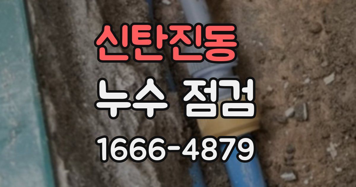 신탄진동 누수 점검