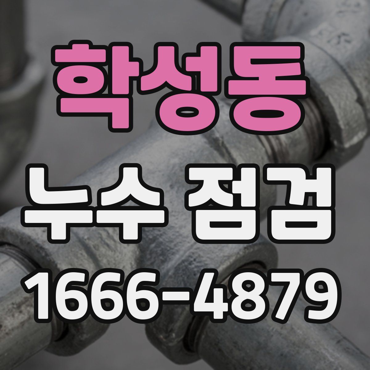 학성동 누수 점검