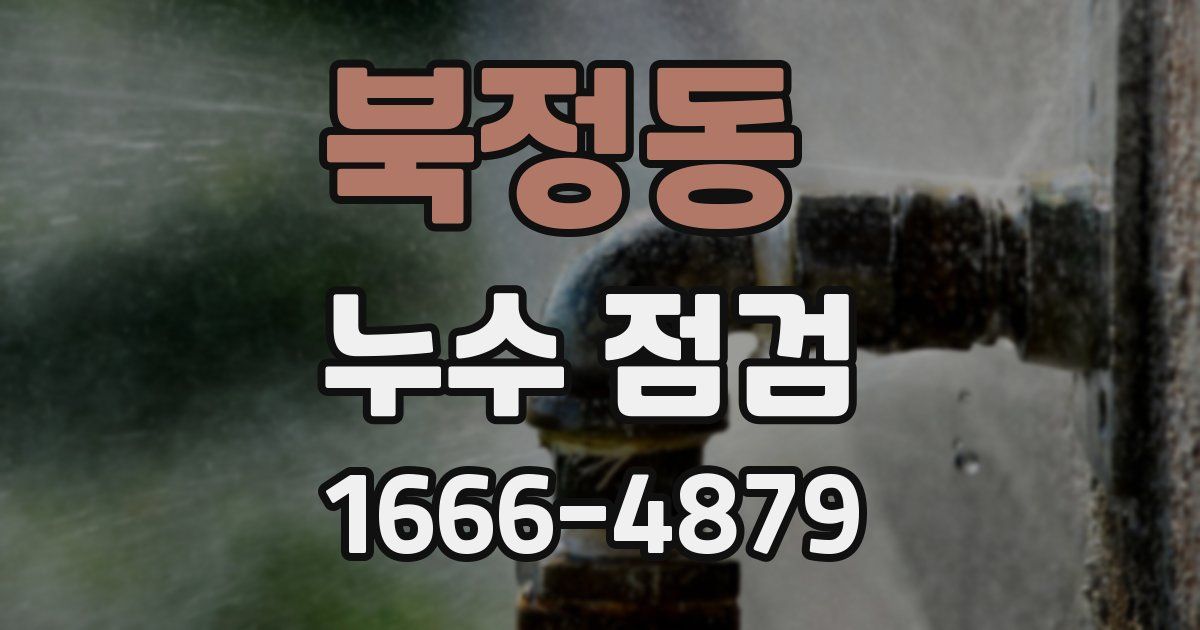 북정동 누수 점검