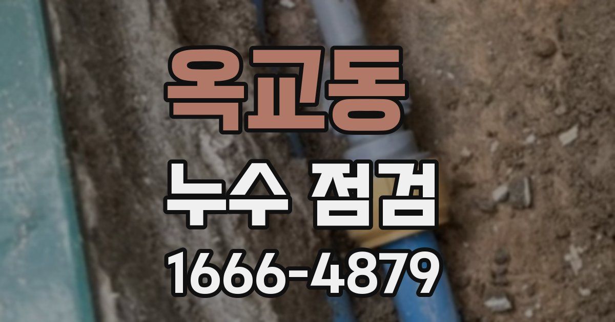옥교동 누수 점검