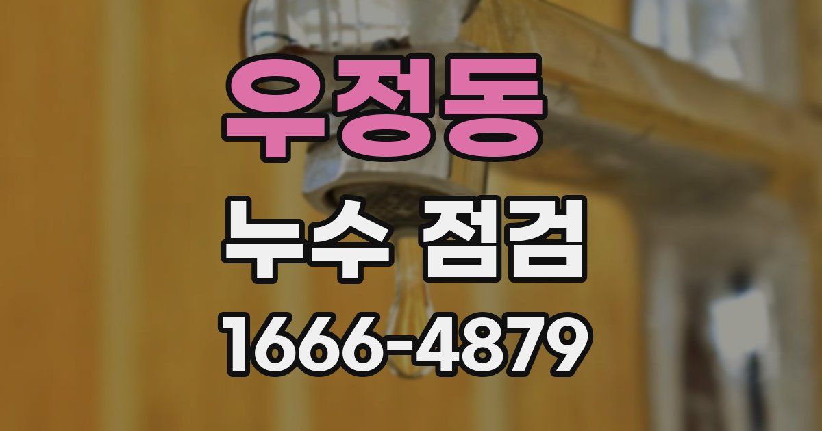 우정동 누수 점검