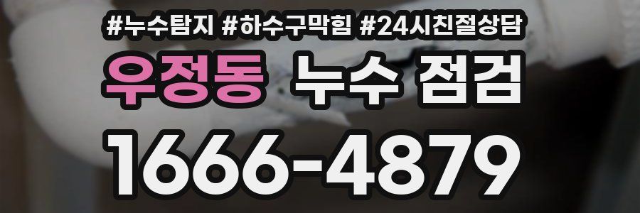 우정동 누수 점검