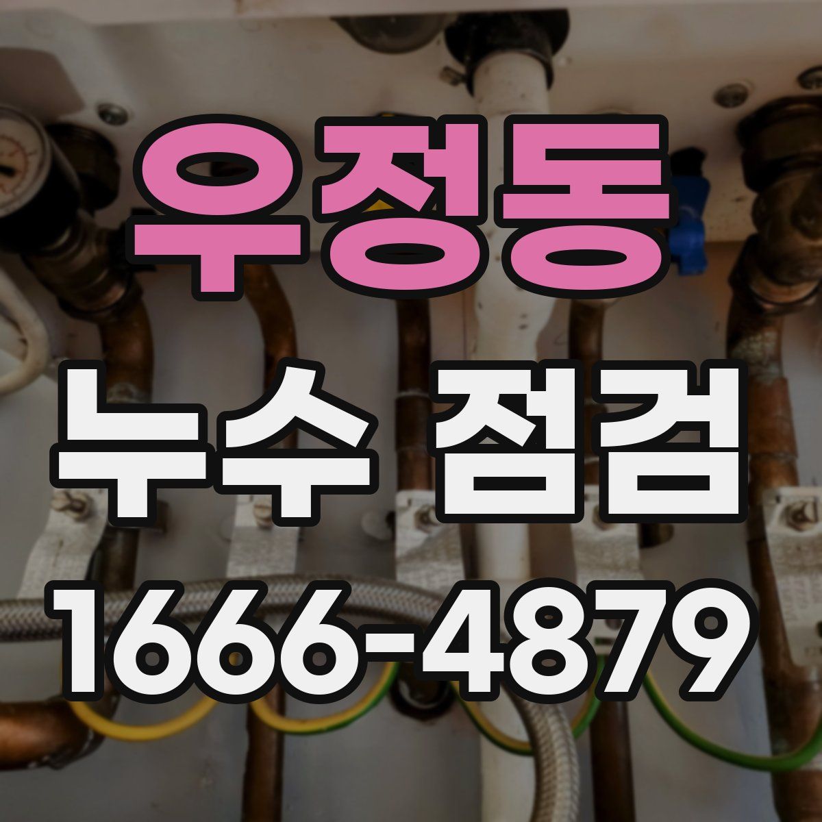 우정동 누수 점검