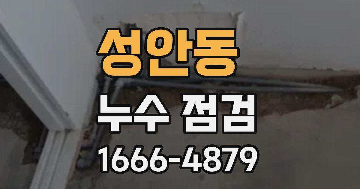 성안동 누수 점검
