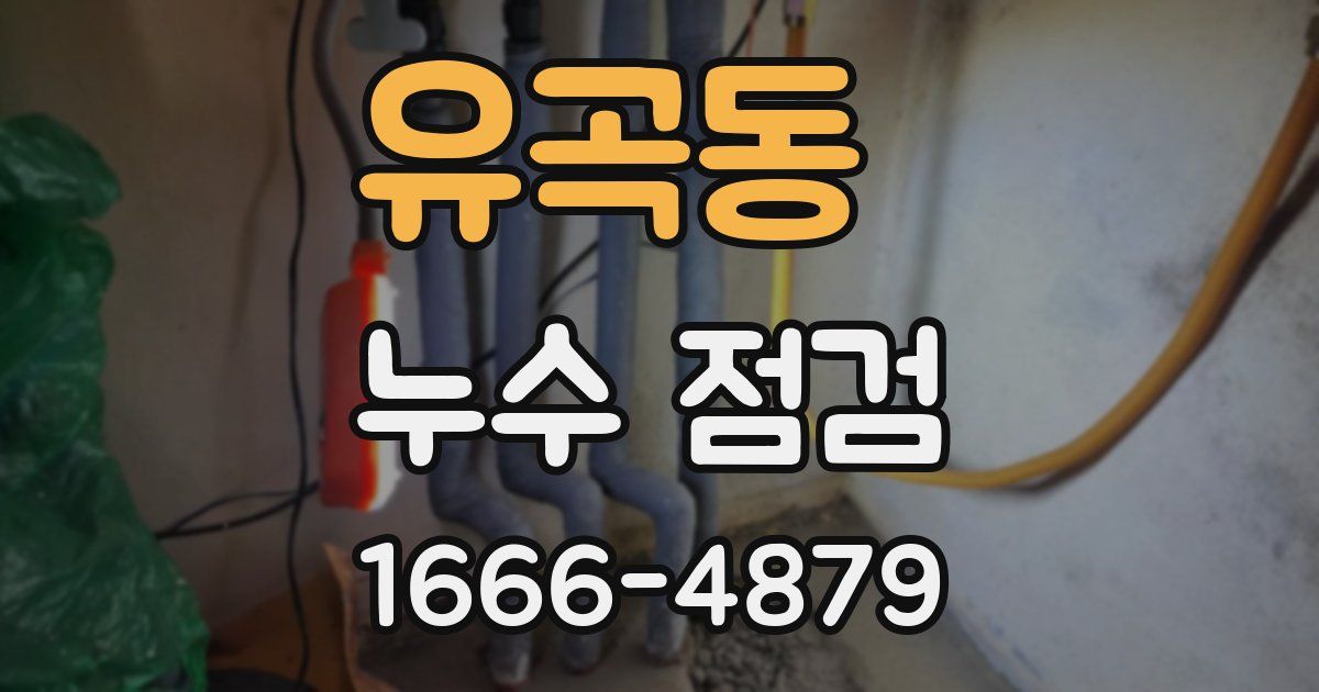 유곡동 누수 점검