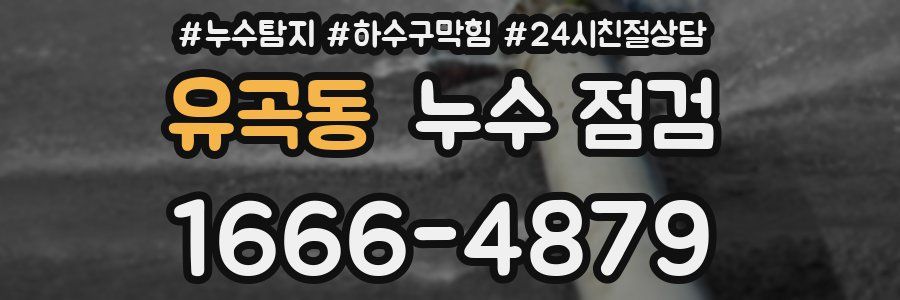 유곡동 누수 점검