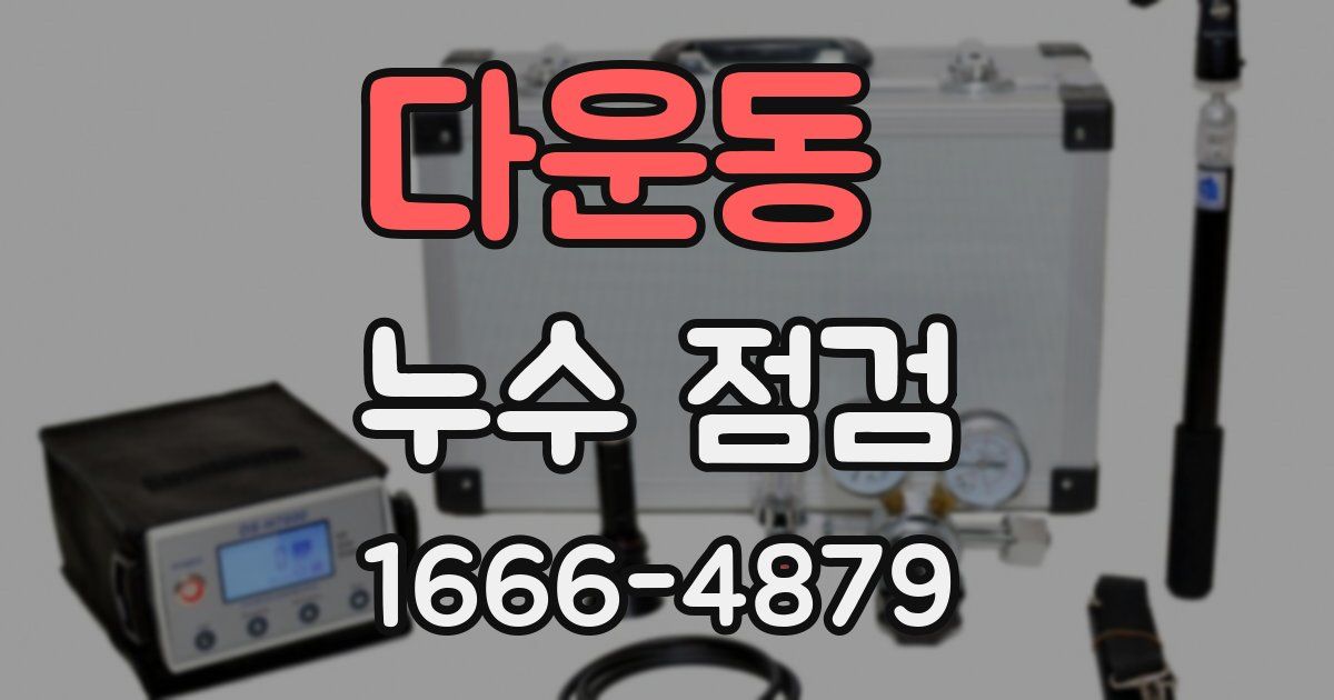 다운동 누수 점검