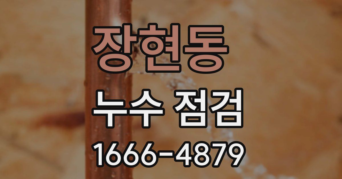 장현동 누수 점검