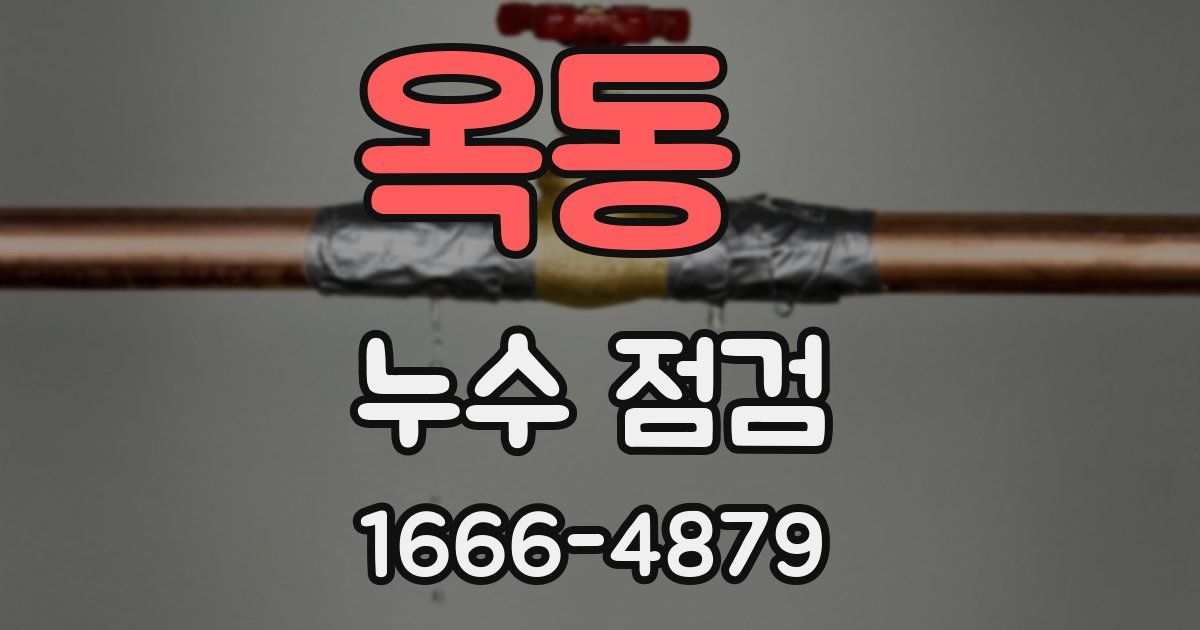 옥동 누수 점검