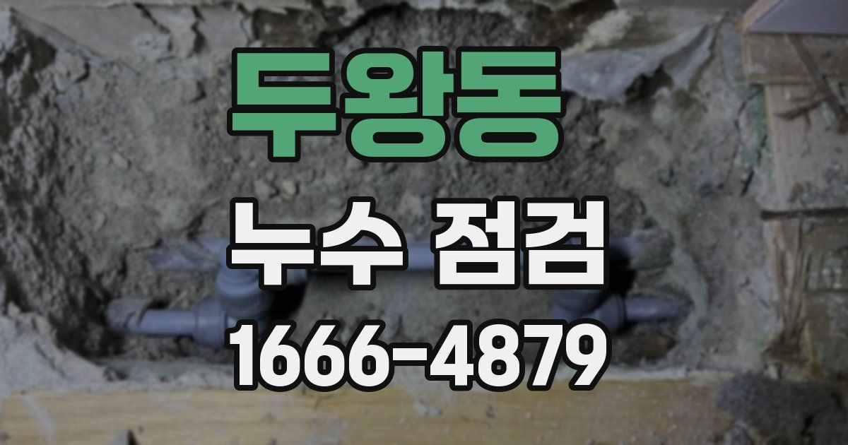 두왕동 누수 점검