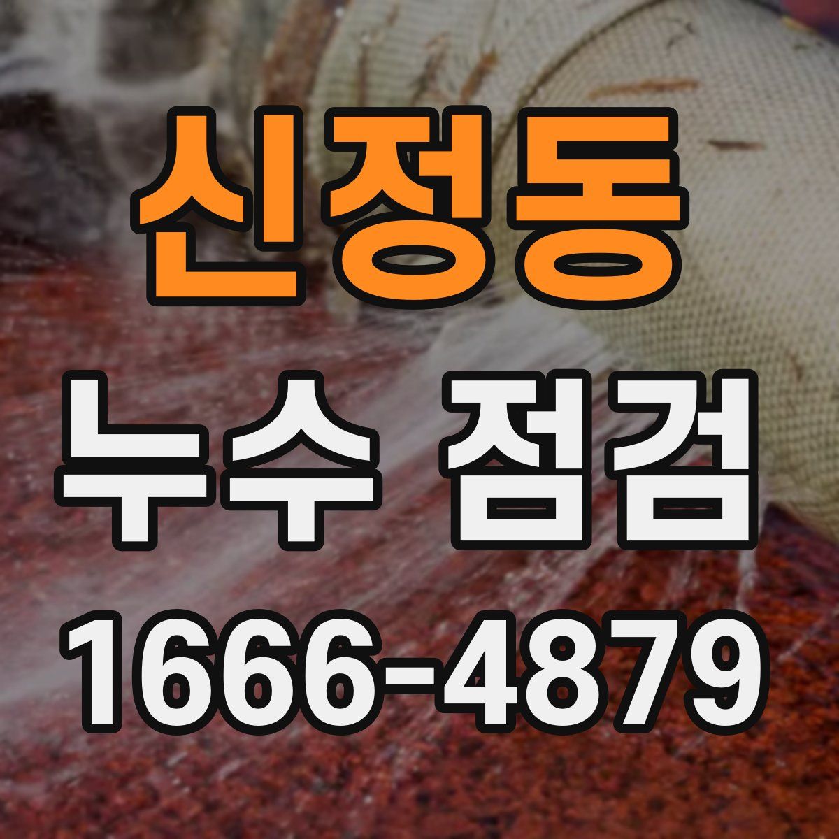 신정동 누수 점검