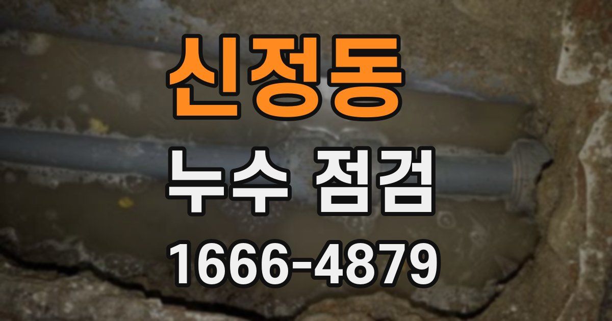 신정동 누수 점검