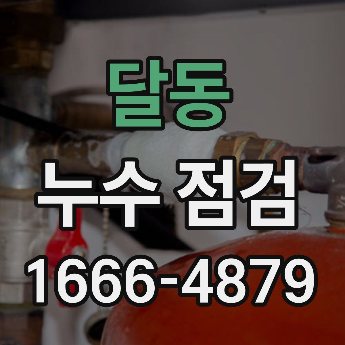 달동 누수 점검