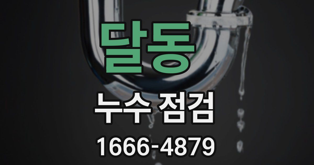 달동 누수 점검