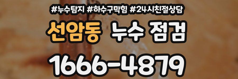 선암동 누수 점검