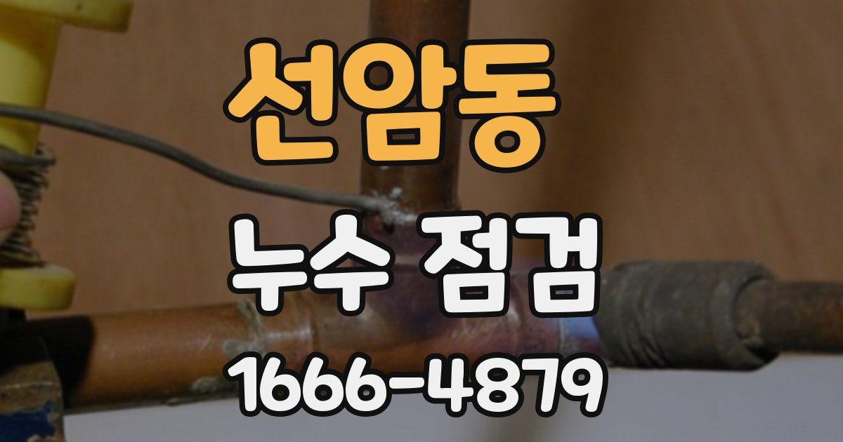선암동 누수 점검