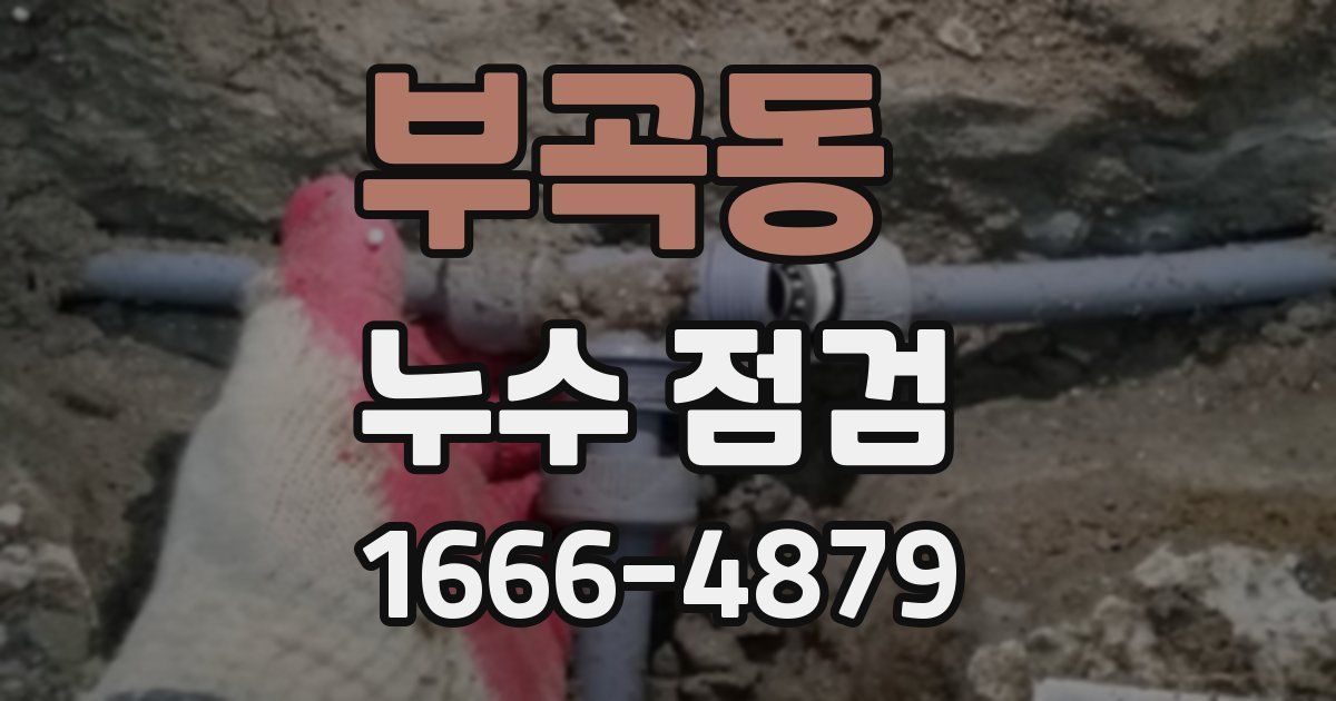 부곡동 누수 점검