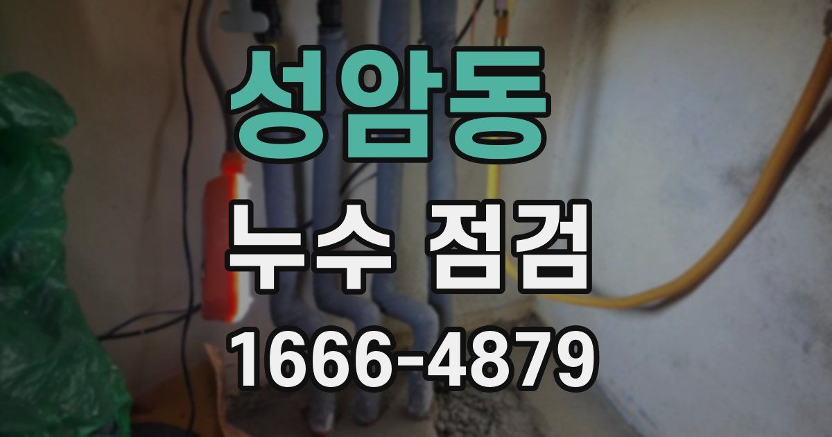 성암동 누수 점검