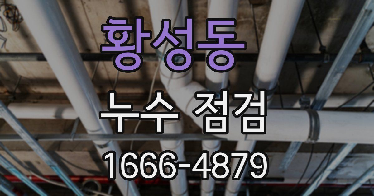 황성동 누수 점검