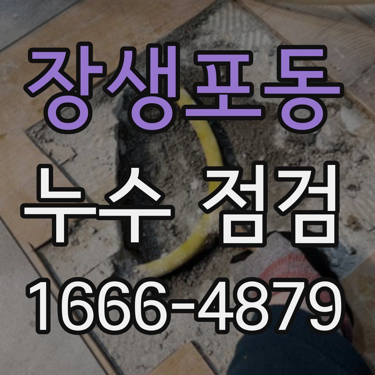 장생포동 누수 점검