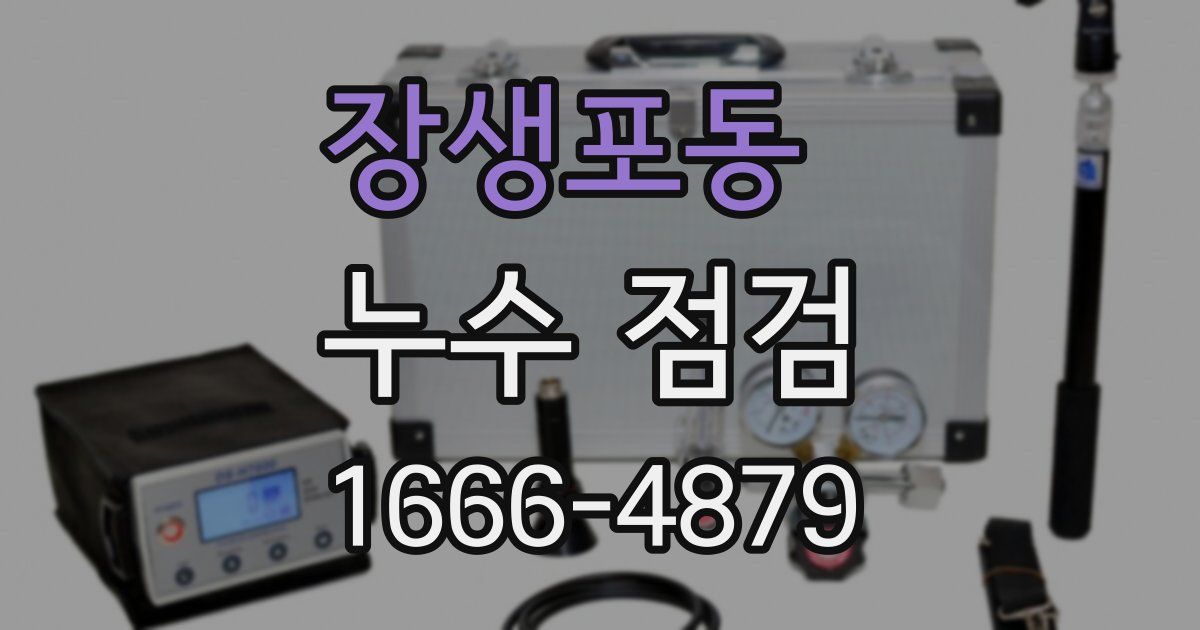 장생포동 누수 점검