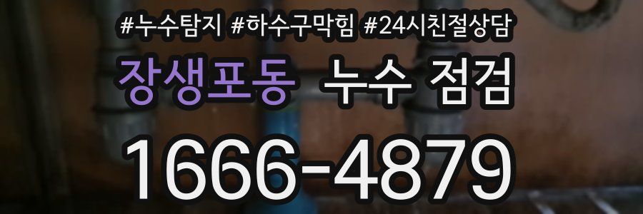 장생포동 누수 점검