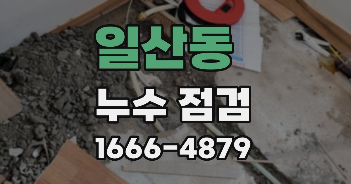 일산동 누수 점검