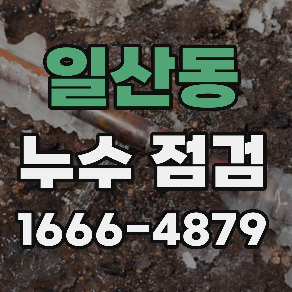 일산동 누수 점검